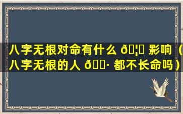 八字无根对命有什么 🦈 影响（八字无根的人 🕷 都不长命吗）